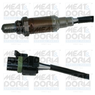 Oxygen Sensor